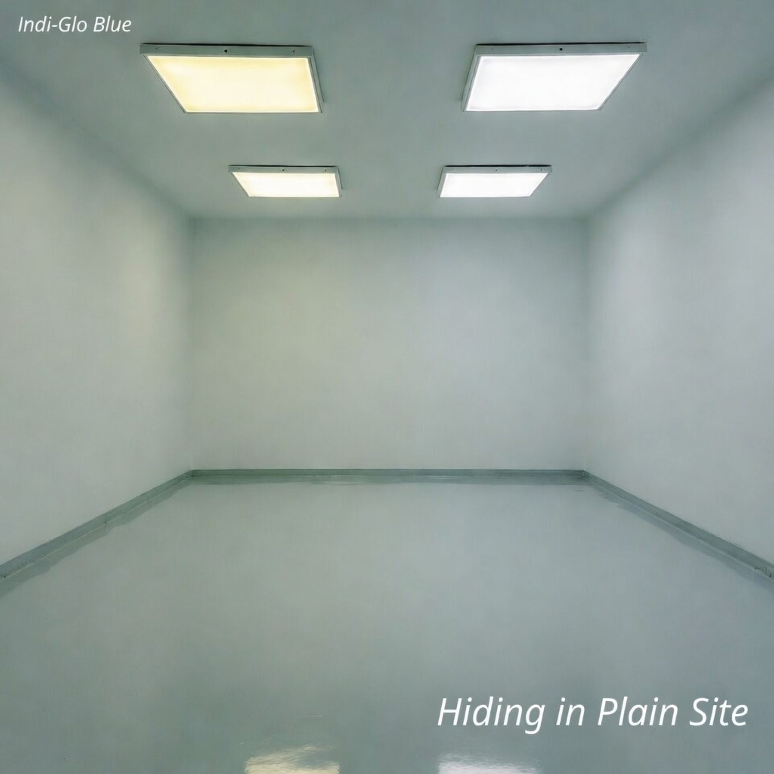 Indi-Glo Blue - Hiding In Plain Site